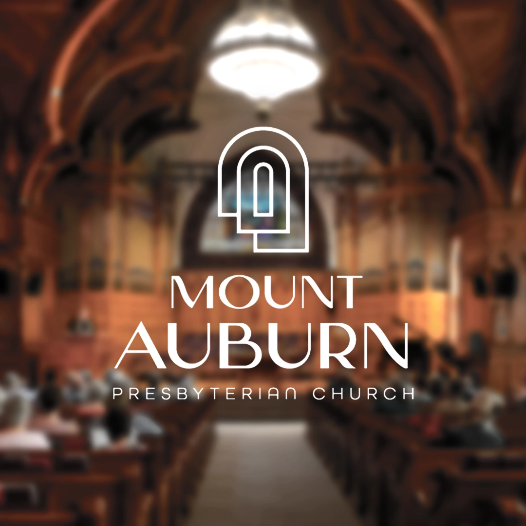 Mount Auburn Logo